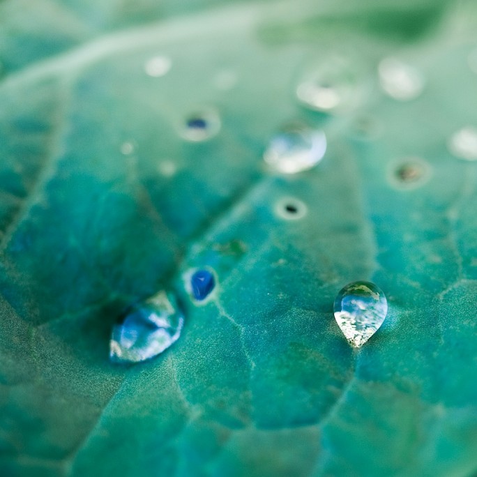 4985667417_78fde7f5ca_b